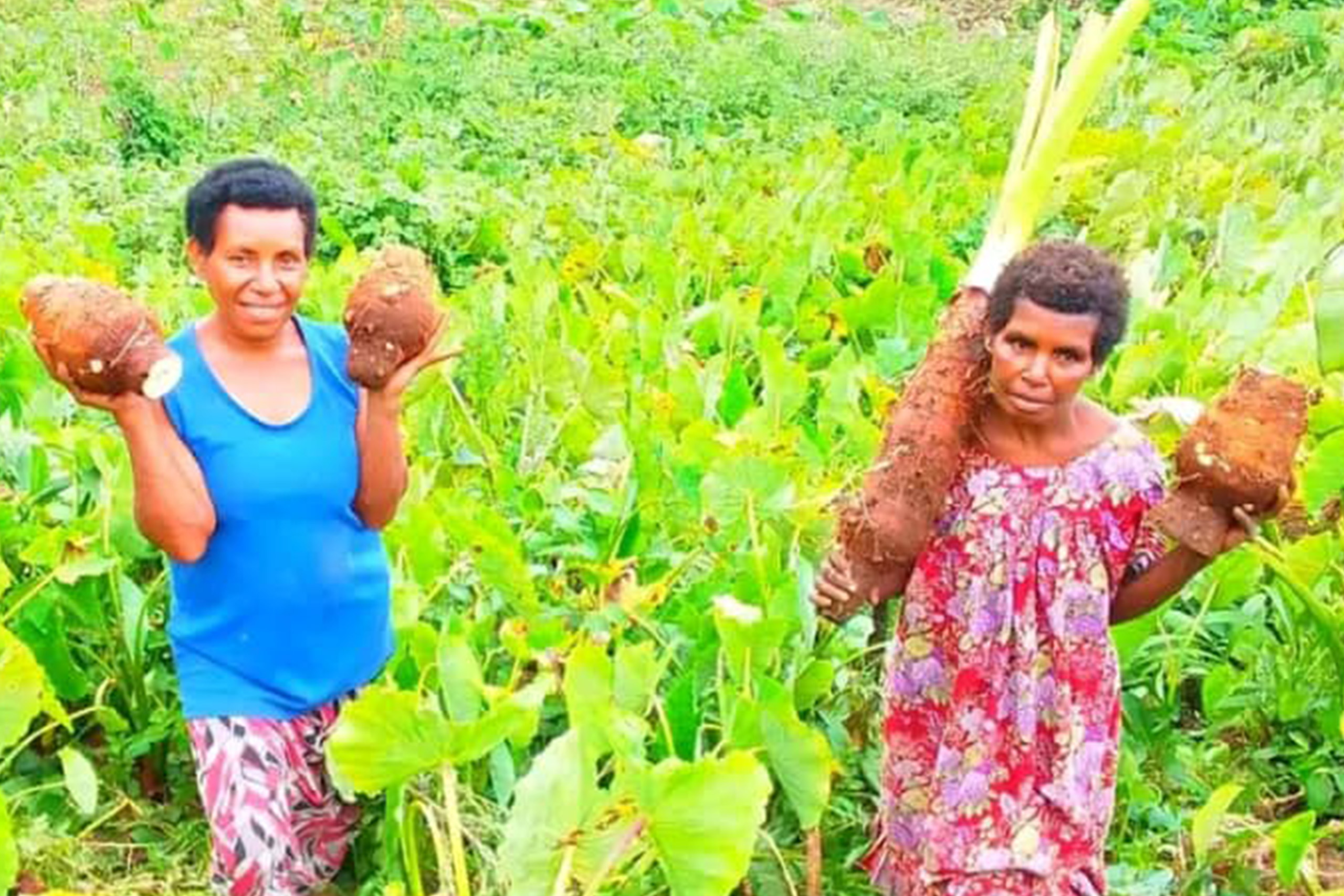   Organic products<br/> no synthetic fertilizers