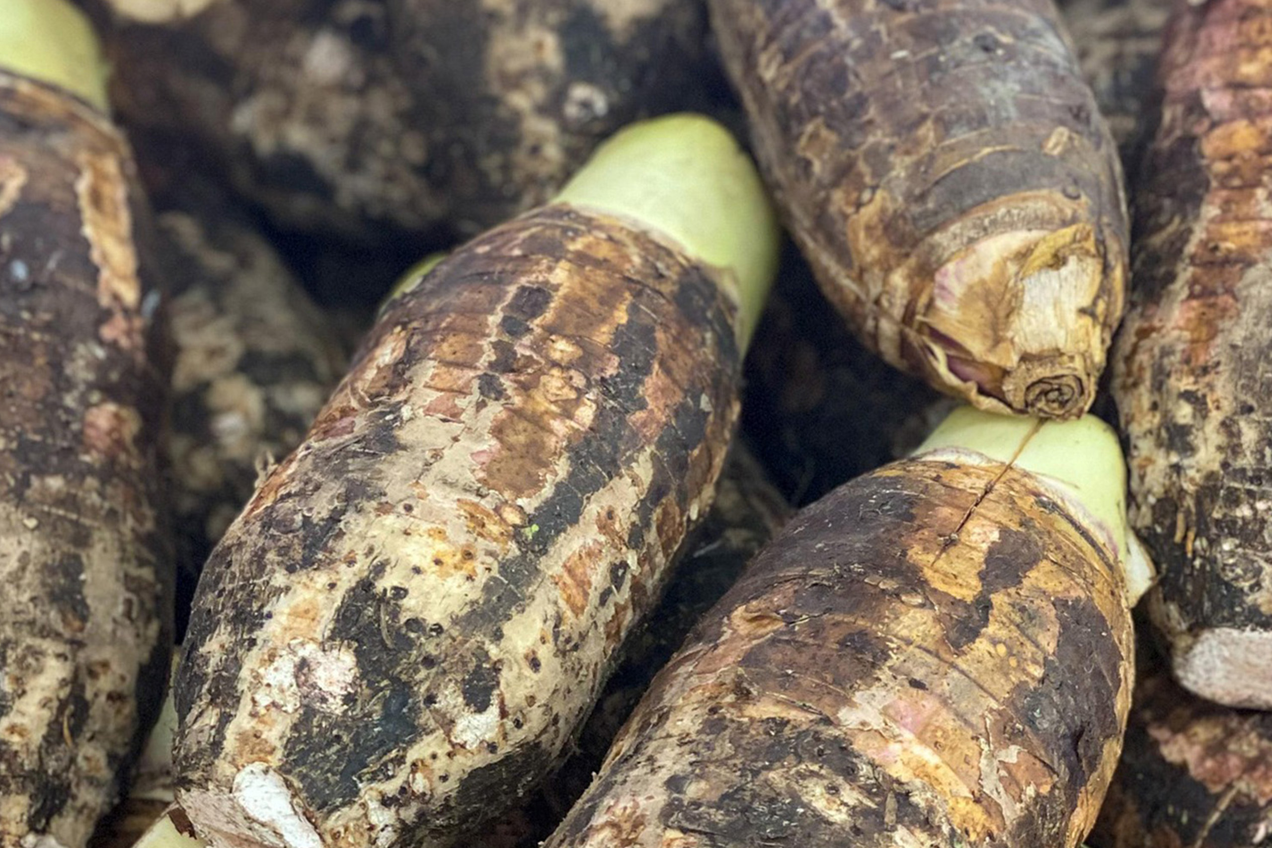   Organic products<br/> no synthetic fertilizers